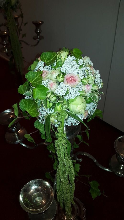 Blumenfachgeschäft feeling auf Fehmarn Lena Gerig