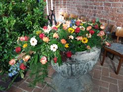 Blumenfachgeschäft feeling