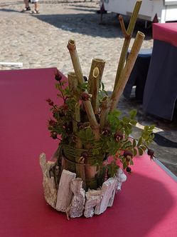 Blumenfachgeschäft feeling auf Fehmarn Lena Gerig