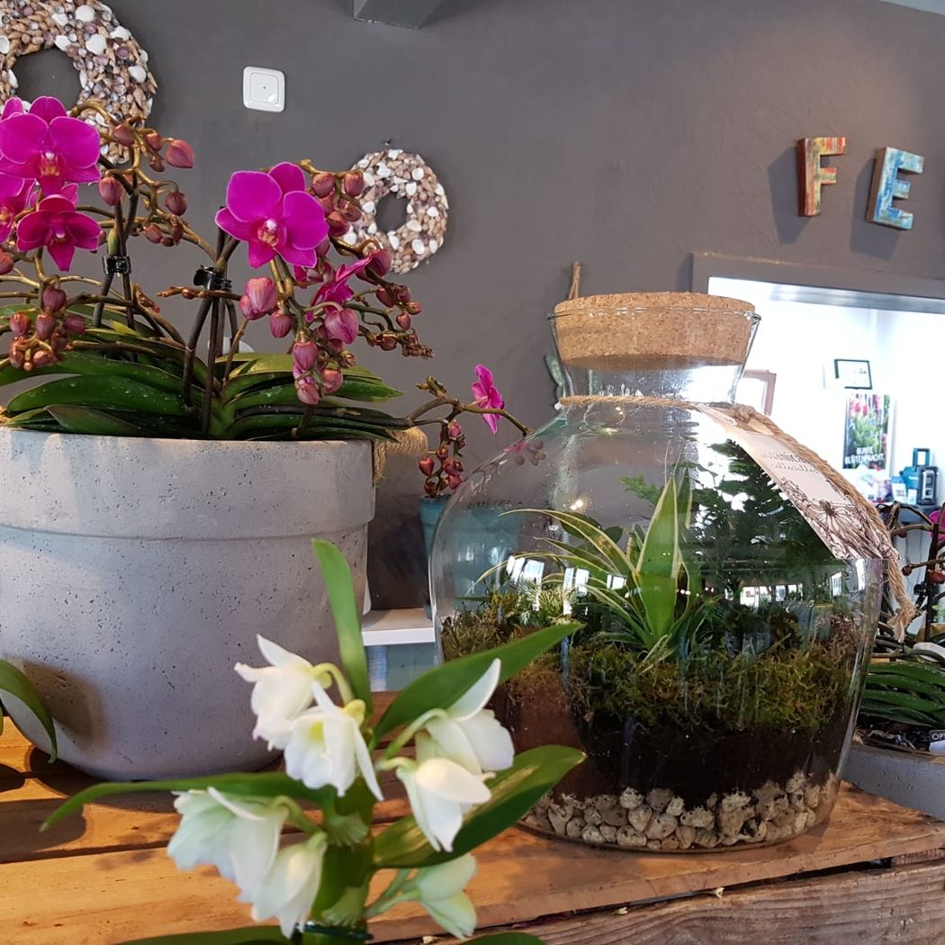 Blumenfachgeschäft feeling auf Fehmarn Lena Gerig