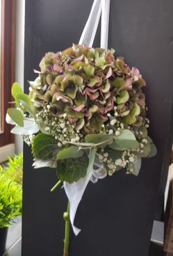 Blumenfachgeschäft feeling auf Fehmarn Lena Gerig