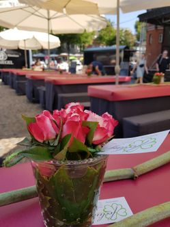 Blumenfachgeschäft feeling auf Fehmarn Lena Gerig