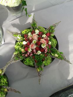 Blumenfachgeschäft feeling auf Fehmarn Lena Gerig