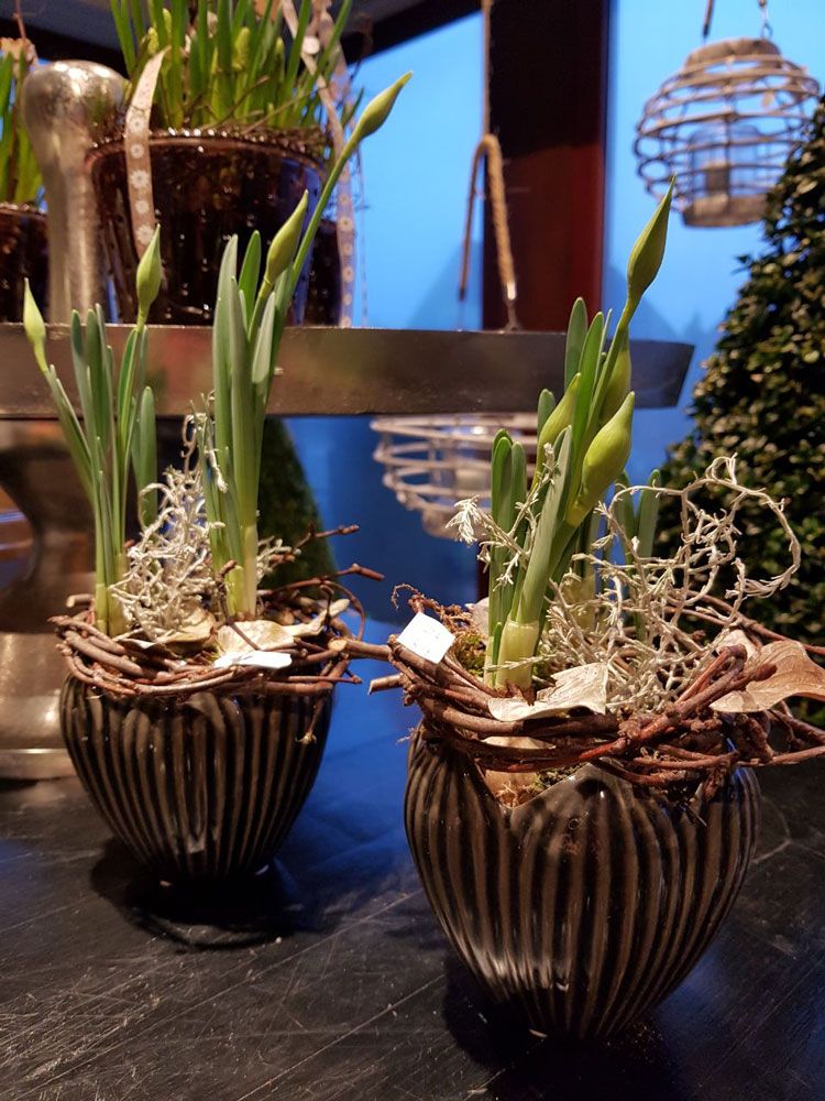 Blumenfachgeschäft feeling auf Fehmarn Lena Gerig