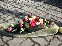 Blumenfachgeschäft feeling auf Fehmarn Lena Gerig
